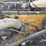 western-star-4964ex-image-14
