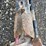 #1914-•-lot-of-(5)-hand-tools-image-3