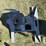 bw-camper-5th-wheel-hitch-image-1