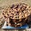 track-chains/sprocket-segments-image-7