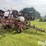 wil-rich-quad-5-image-3