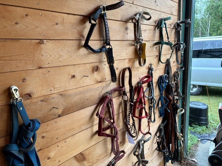 halters-&-lunging-lines-image-1