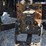 deutz-fahr-agroplus-87-image-52