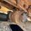 2016-caterpillar-325fl-image-17