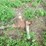 #5062-•-used-water-pump-image-2