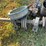 #5081-•-buggy-spoke-cutter-and-more-image-8