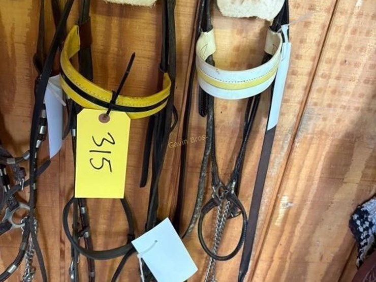 (2)-in-hand-show-bridles-&-(2)-halters-image-4
