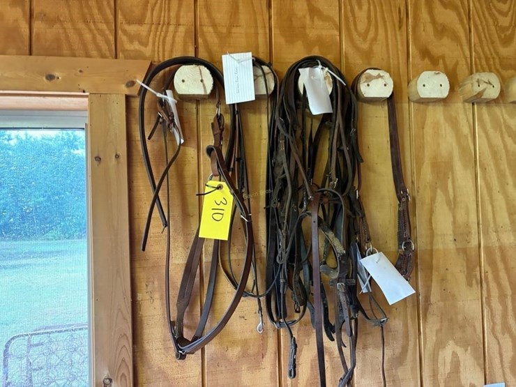english-riding-head-stalls-image-1
