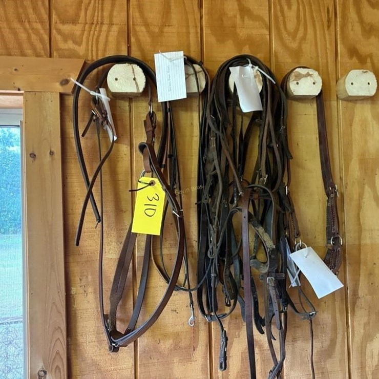 English Riding Head Stalls