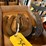horseshoes-image-1