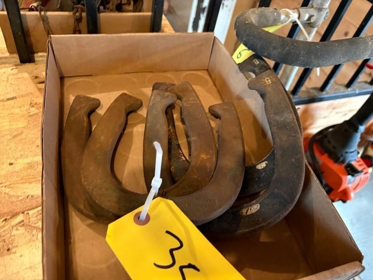 horseshoes-image-1