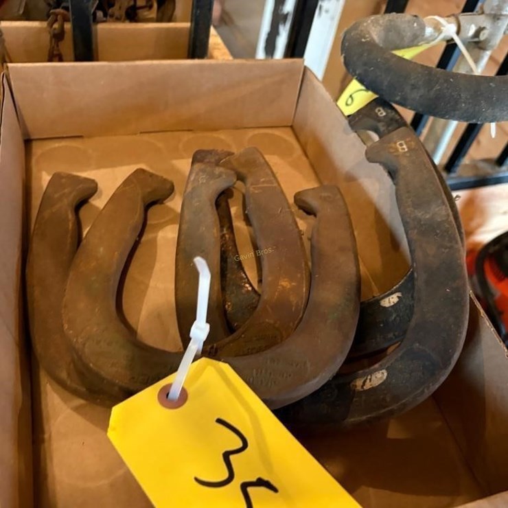 Horseshoes