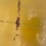 #5019-•-(8)-bolt-rim-and-pto-shaft-image-9