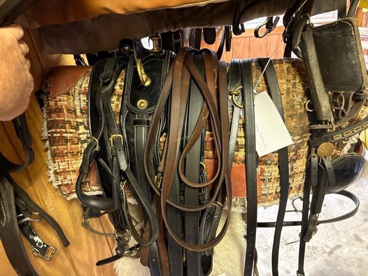 smuckers-show-driving-harness-image-1