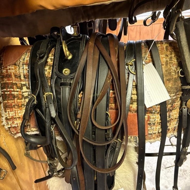 Smuckers Show Driving Harness