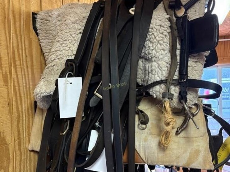 amish-style-horse-buggy-harness-image-4