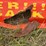 #425-•-topcat-skidsteer-brush-cutter-image-9