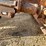 2016-international-workstar-7400-image-47