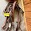 rear-cinches-for-western-saddles-image-2