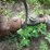 #5062-•-used-water-pump-image-5