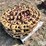 track-chains/sprocket-segments-image-5