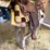 western-saddle-&-riding-chaps-image-4