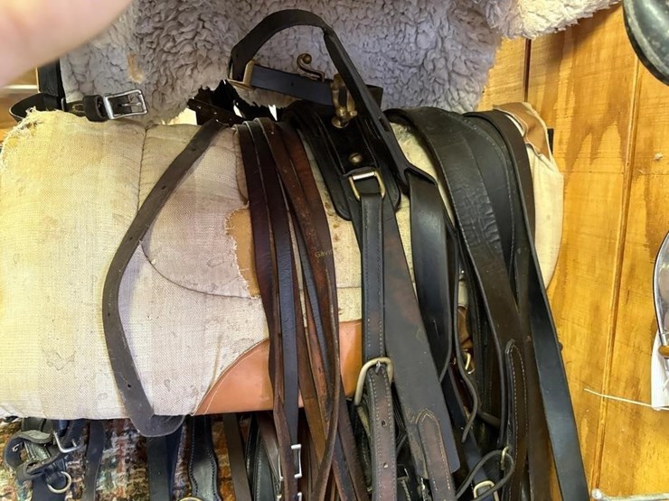 amish-style-horse-buggy-harness-image-1