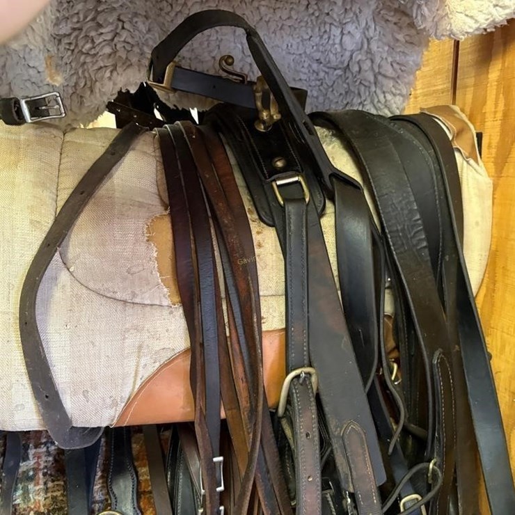 Amish Style Horse Buggy Harness