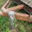 #5046-•-5'-x-8'-trailer-(no-title)-image-6