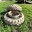 #5012-•-tractor-duals-image-2