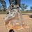 2019-deere-350g-lc-image-9