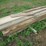 #5057-•-pile-of-rough-sawn-lumber-image-3