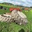 #5012-•-tractor-duals-image-6