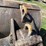 deere-200-lc-image-37
