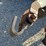 bush-hog-2615l-image-9