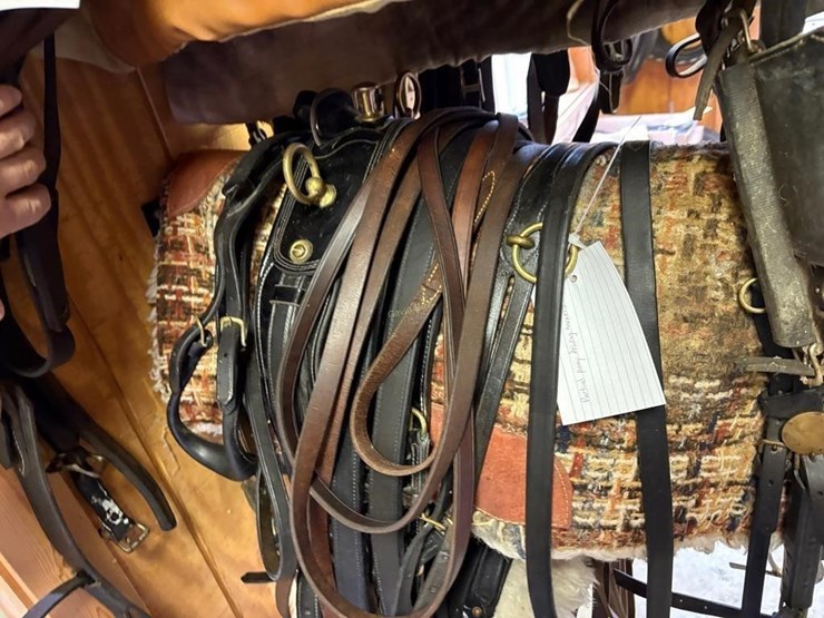 smuckers-show-driving-harness-image-2