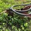 #5010-•-mccormick-10'-grain-drill-image-12