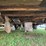 #208-•-mobile-home-image-6