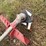 solo-134-brush-cutter-image-3