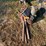 #5080-•-(3)-barrel-pumps-and-more-image-1