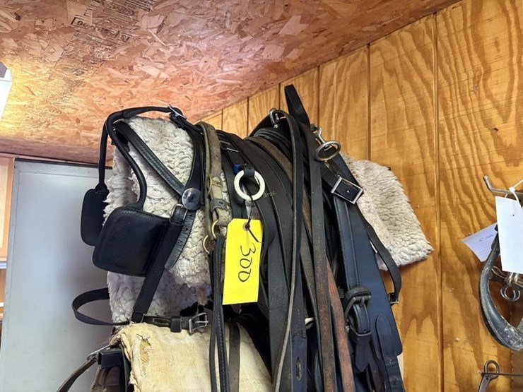 amish-style-horse-buggy-harness-image-1