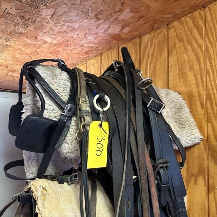 Amish Style Horse Buggy Harness