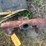 #5082-•-intake-manifold-for-farmall-660-image-3