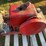 #5073-•-mccormick-hit-and-miss-engine-image-7