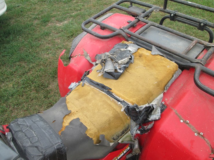 honda-fourtrax-250-image-18