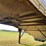 timpte-42'-hopper-image-12