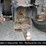 2006-new-holland-tn75a-image-22