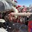 2012-peterbilt-587-image-8