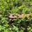 new-idea-7-image-16