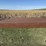 20ftx8ft-cattle-guard-crossing-image-2